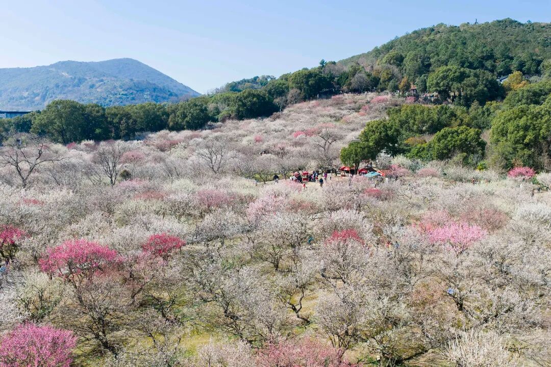 最佳观赏期！只差一个你！