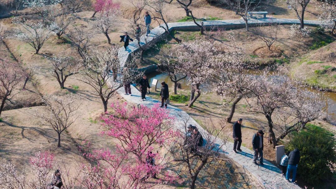 最佳观赏期！只差一个你！