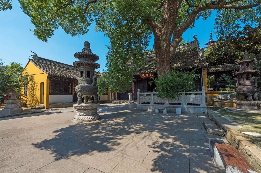 光福寻树打卡线路