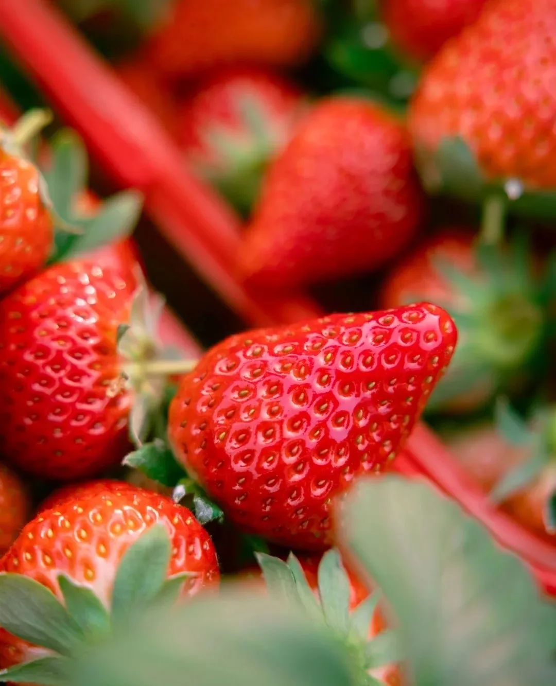 寒假倒计时！带娃去做这些快乐小事