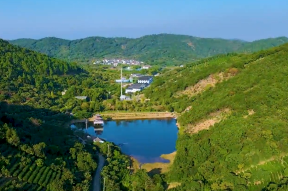 曼波绿境，治愈双眼