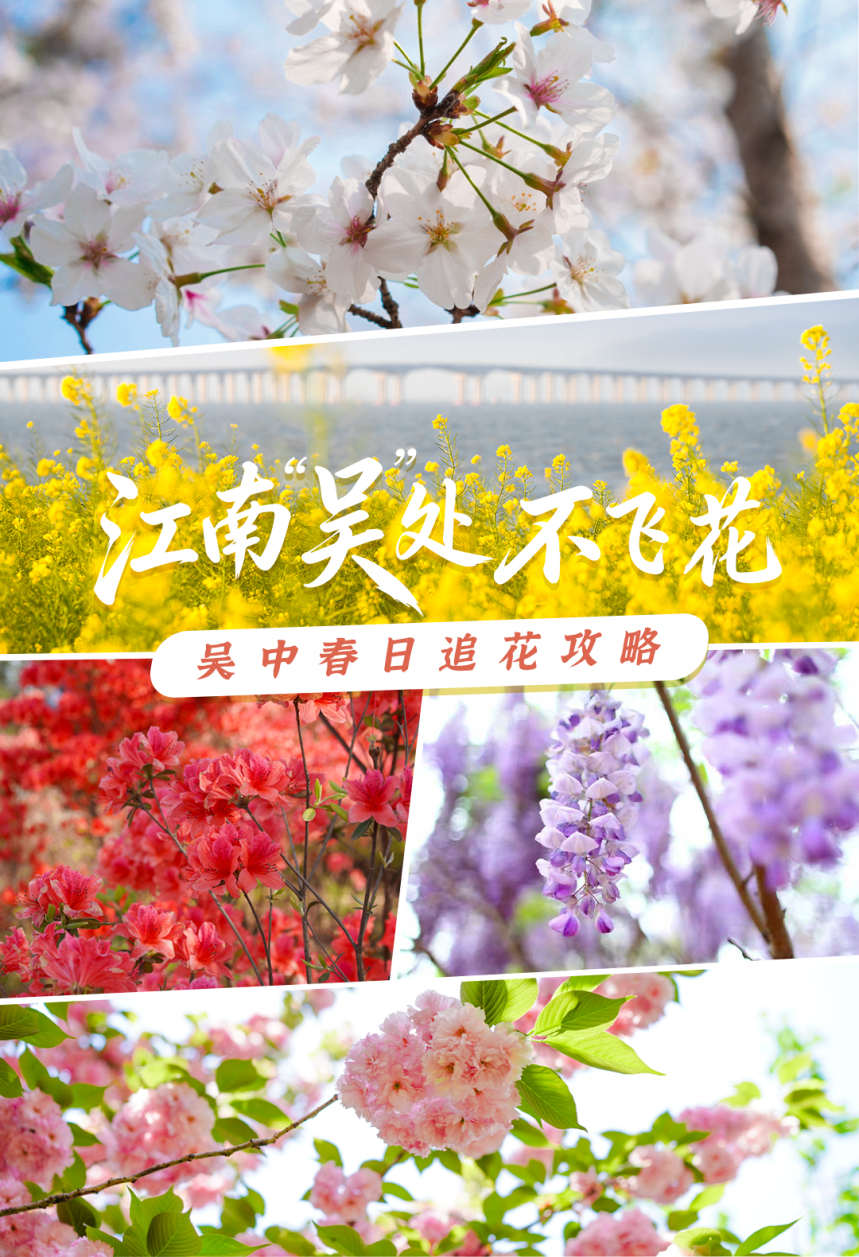 接下来的吴中，浪漫超标~