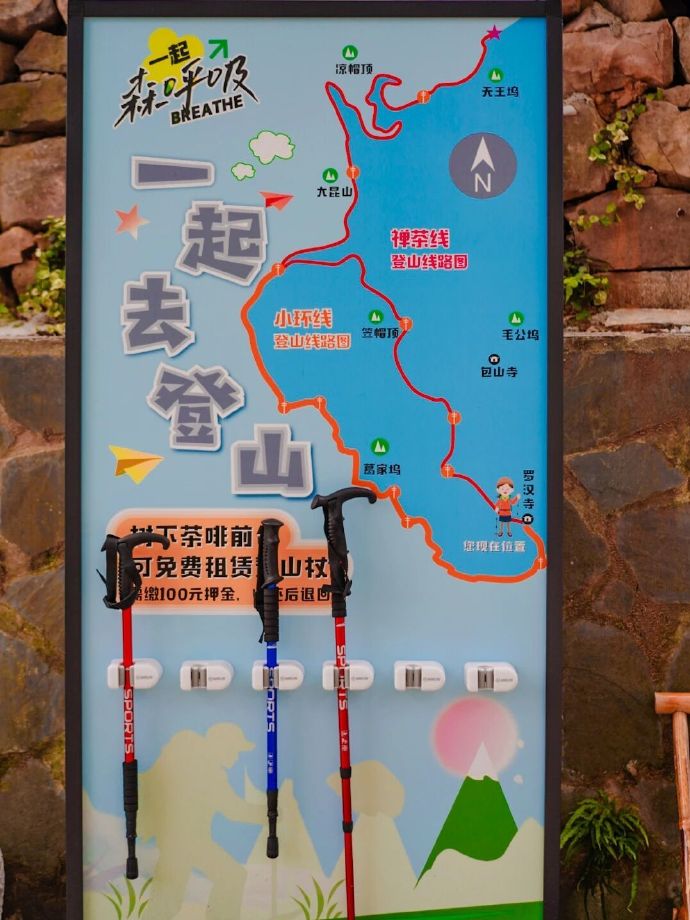 吴中咖啡馆茶馆打卡Vol.9→树下茶咖