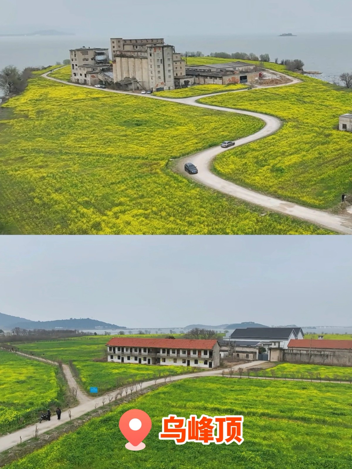 报告！吴中被花“包围”了