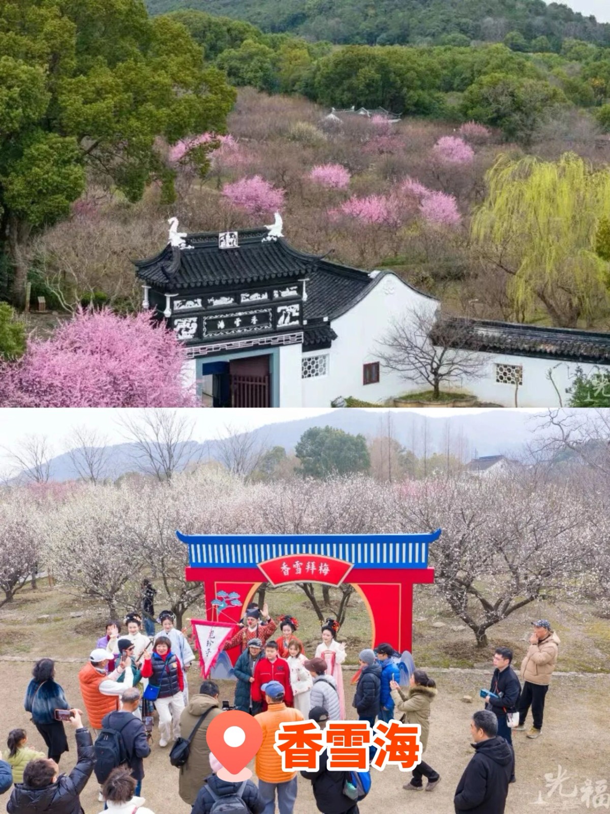 报告！吴中被花“包围”了