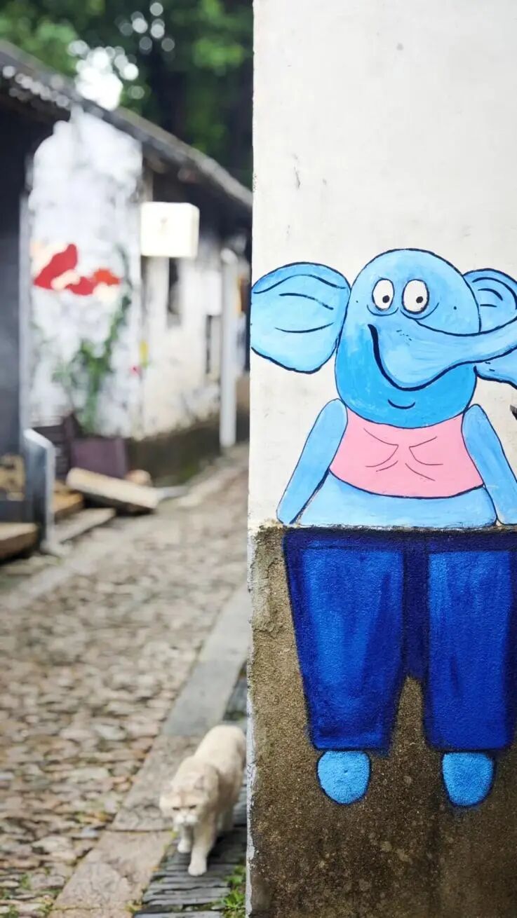 于古镇细微处发现更多细节之美