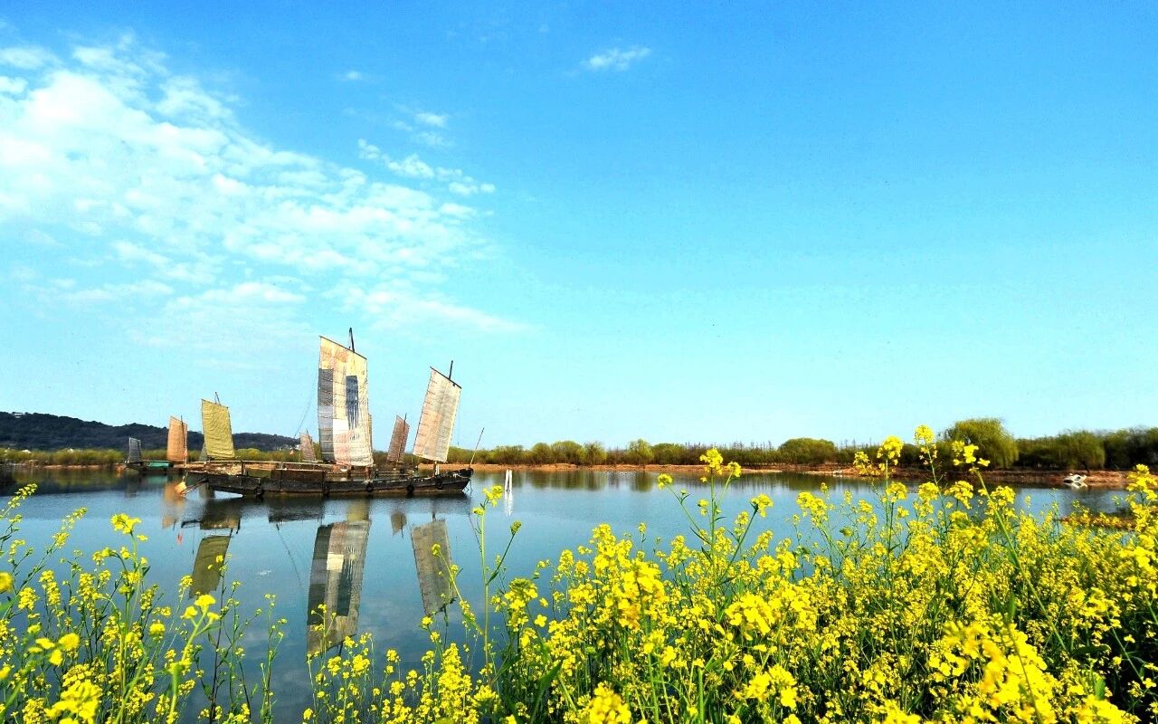 春有约，花不误！来东山，走花路！