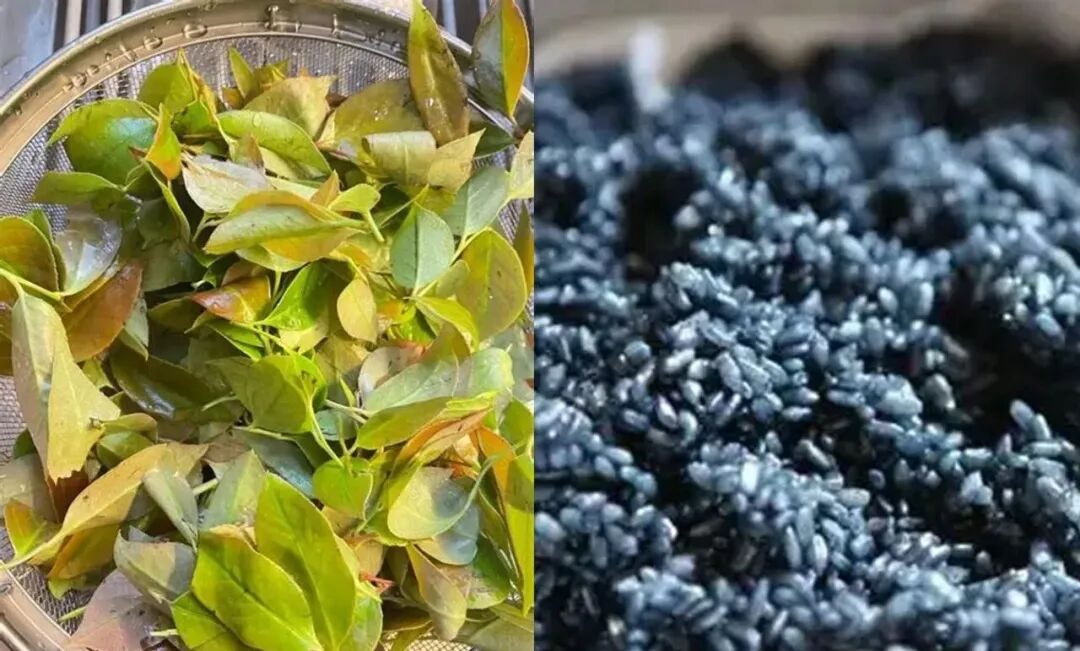 花山登高・隐逸运动三日游