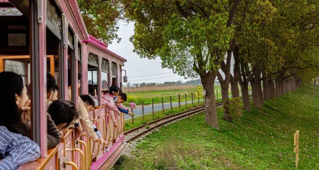 春天的8种玩法！带娃说走就走！