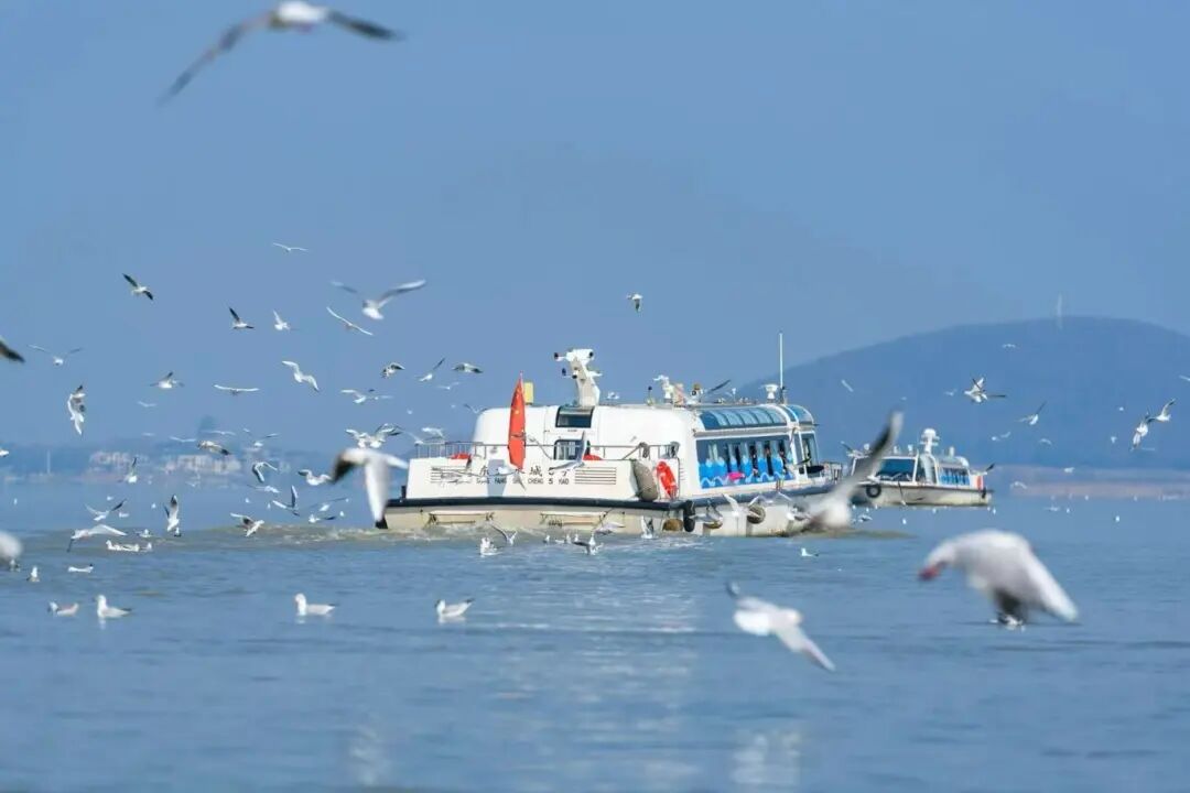 春天的8种玩法！带娃说走就走！