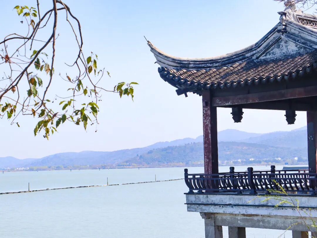 怎么能错过藏在禹王庙里的春天呢？