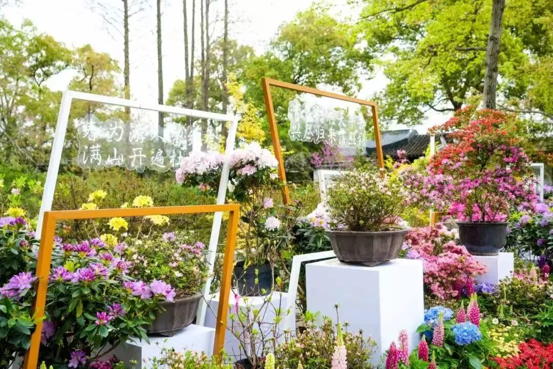 春假不宅家，研学撒欢去～