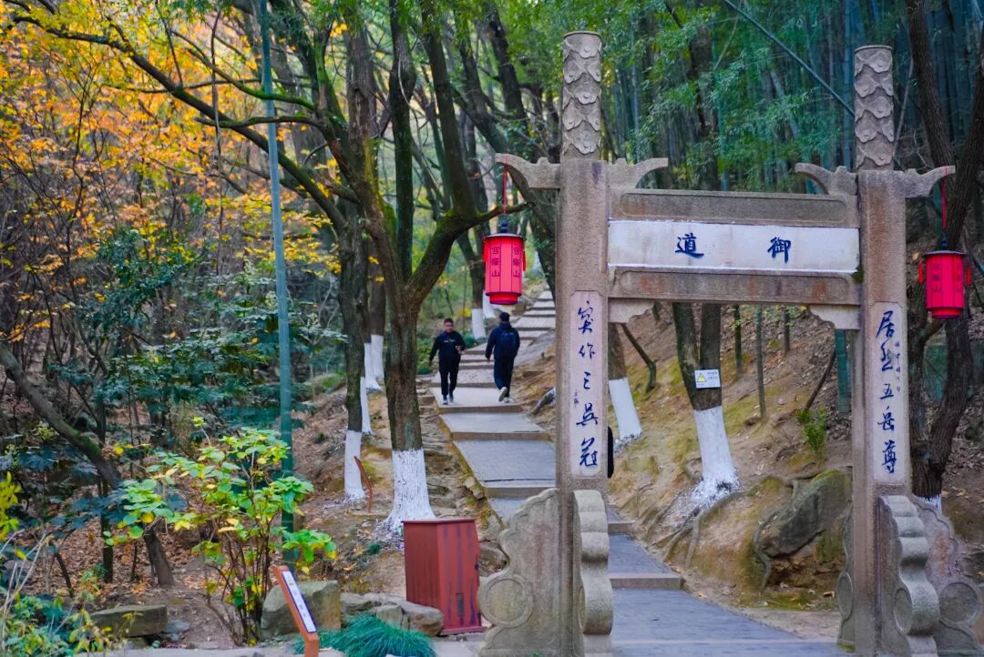 春假不宅家，研学撒欢去～