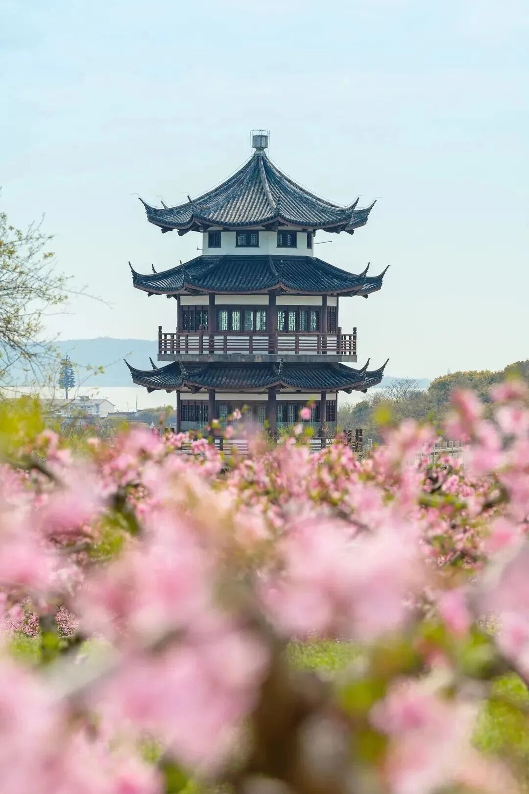 桃花地图上线，赏春不迷路~