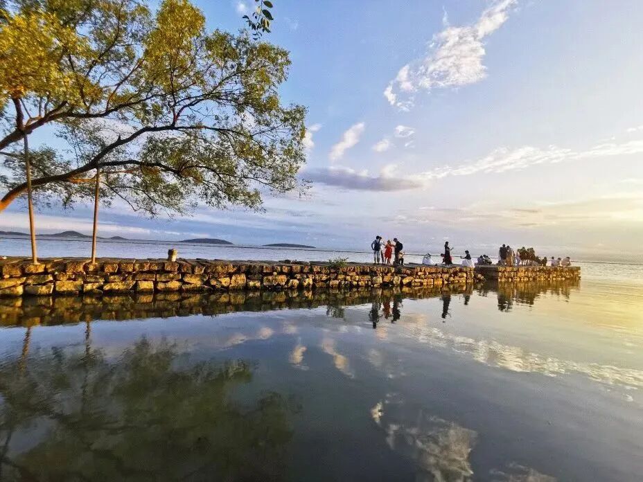上岛赴一场春日寻茶之旅~