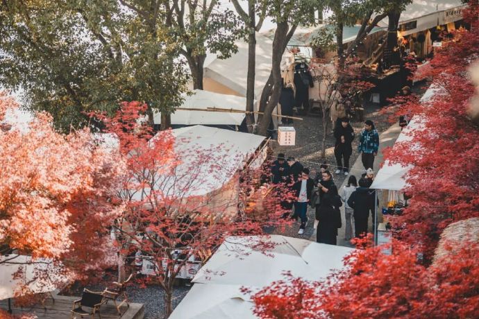 本色美术馆&江南大集，一份不赶时间的宝藏指南~