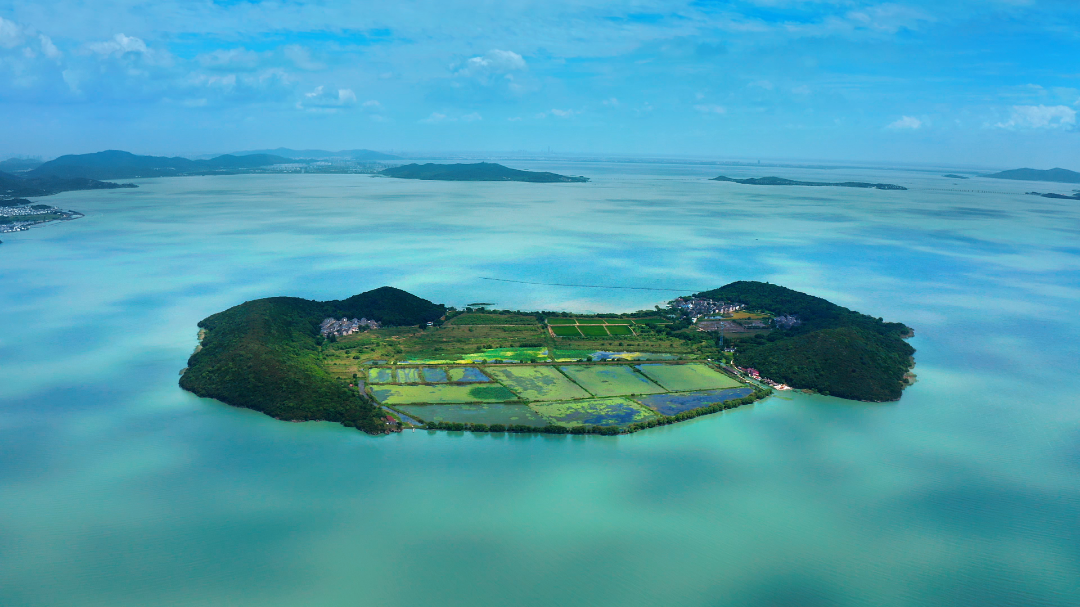 春鲜何处寻？就藏在这些餐桌上~