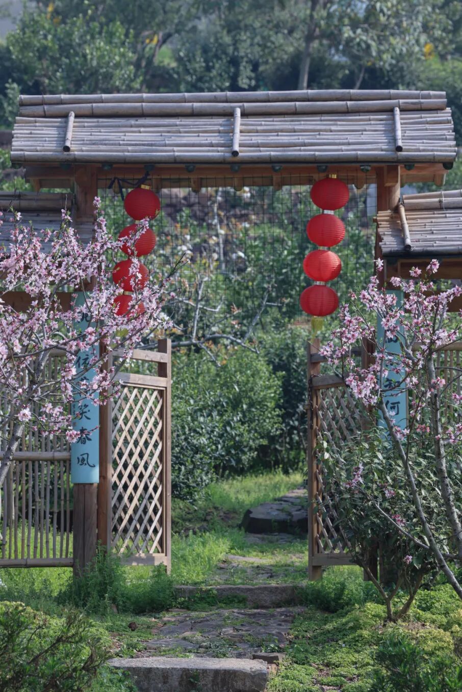 沿太湖一号公路，驶入东山的春天