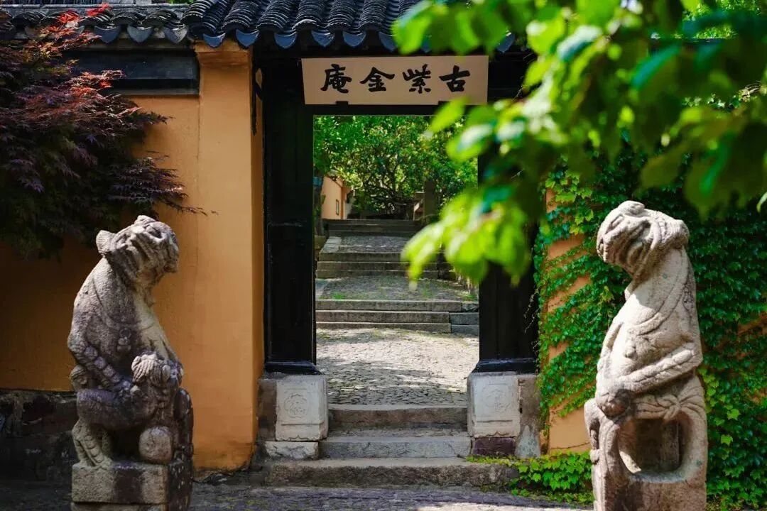 沿太湖一号公路，驶入东山的春天