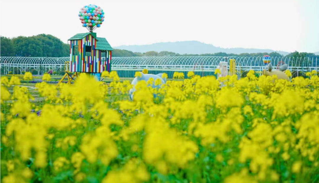 假期开启！在西山岛花式过春天~