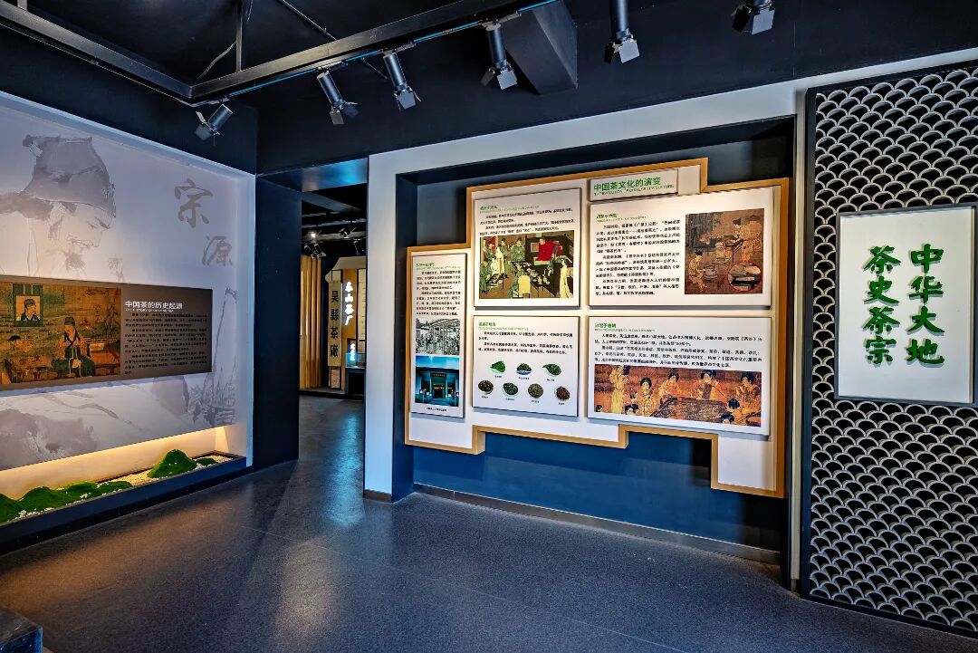 在碧螺春的故乡，品味春天的味道