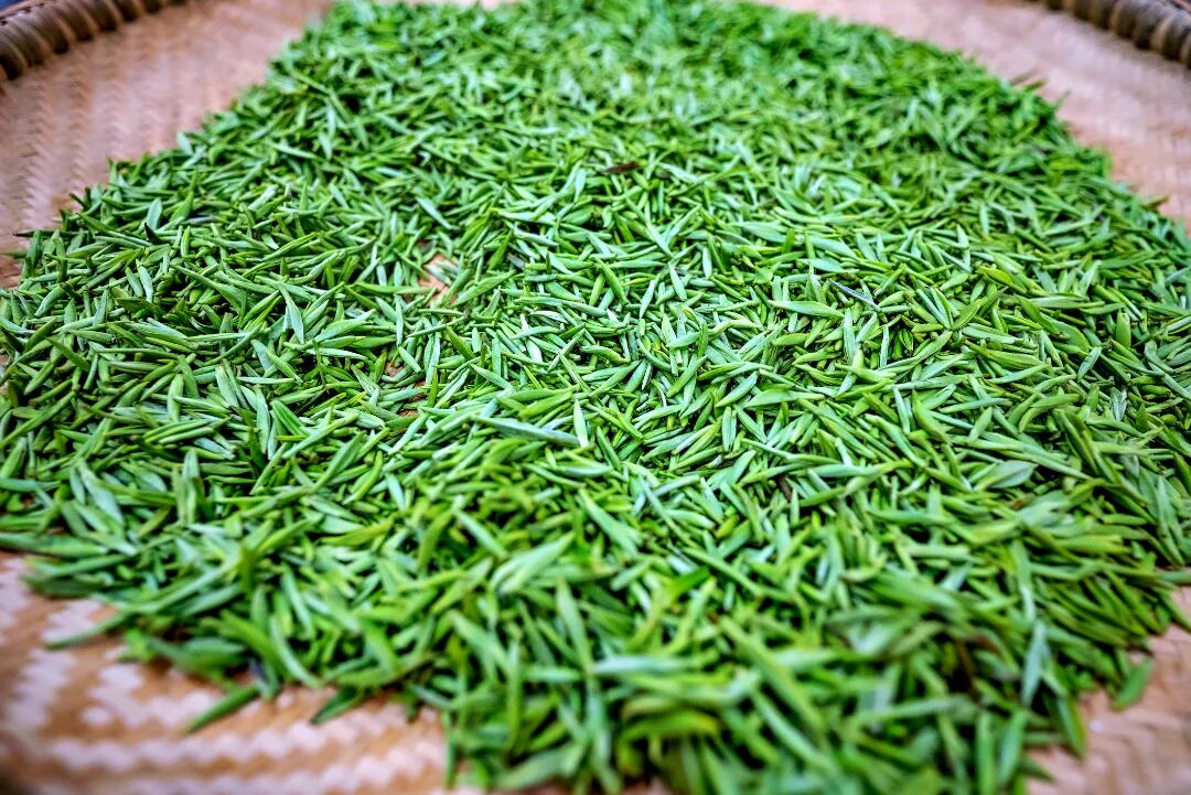 在碧螺春的故乡，品味春天的味道