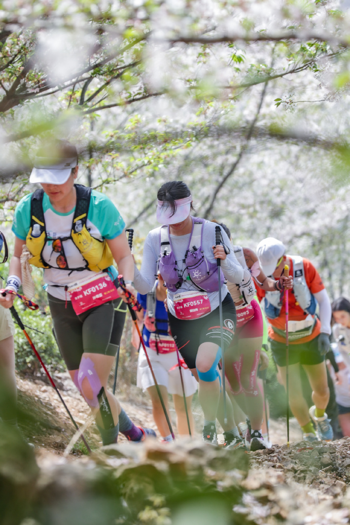 谁家赛道这么好看！光福樱花越野跑完美收官！
