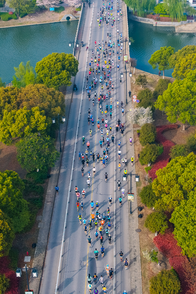 谁家赛道这么好看！光福樱花越野跑完美收官！