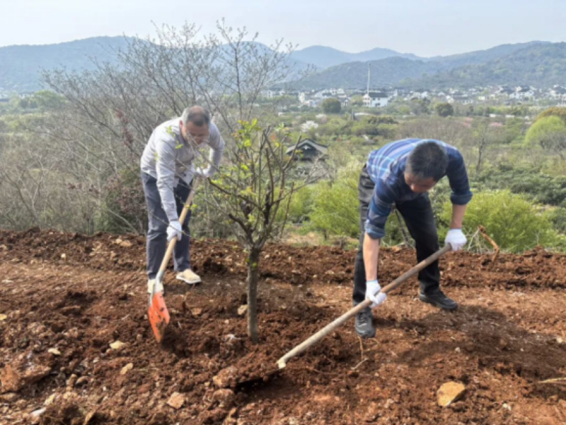 以树喻廉·聚力同心——2026年金庭旅游集团生态共建行动