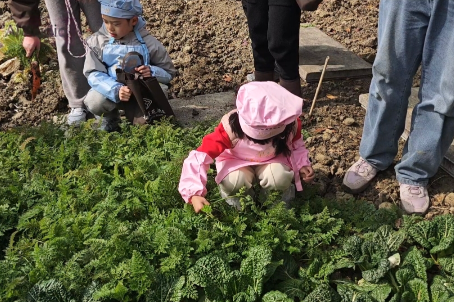 167.3万人次！赴约“吴”限春光