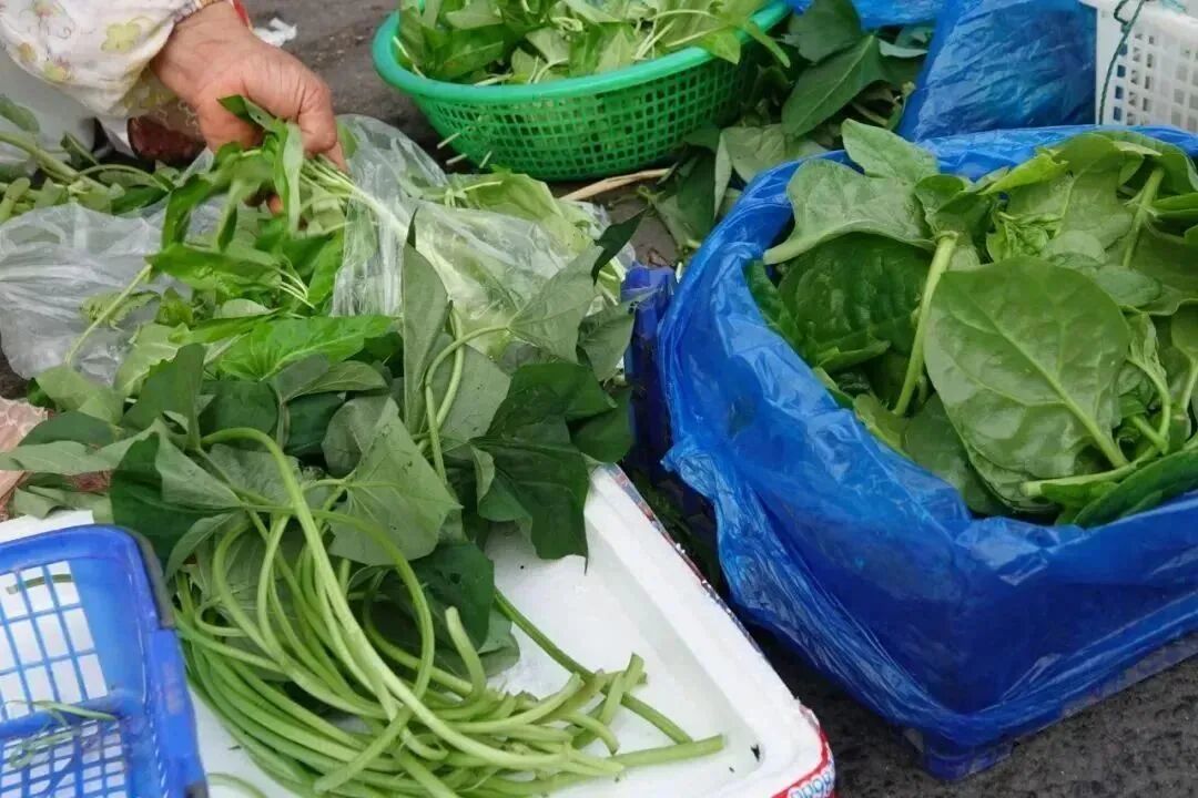 寻味菜市场，提一篮“活色生香”的春天