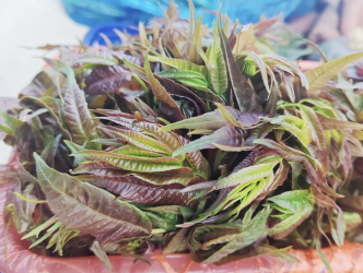 寻味菜市场，提一篮“活色生香”的春天