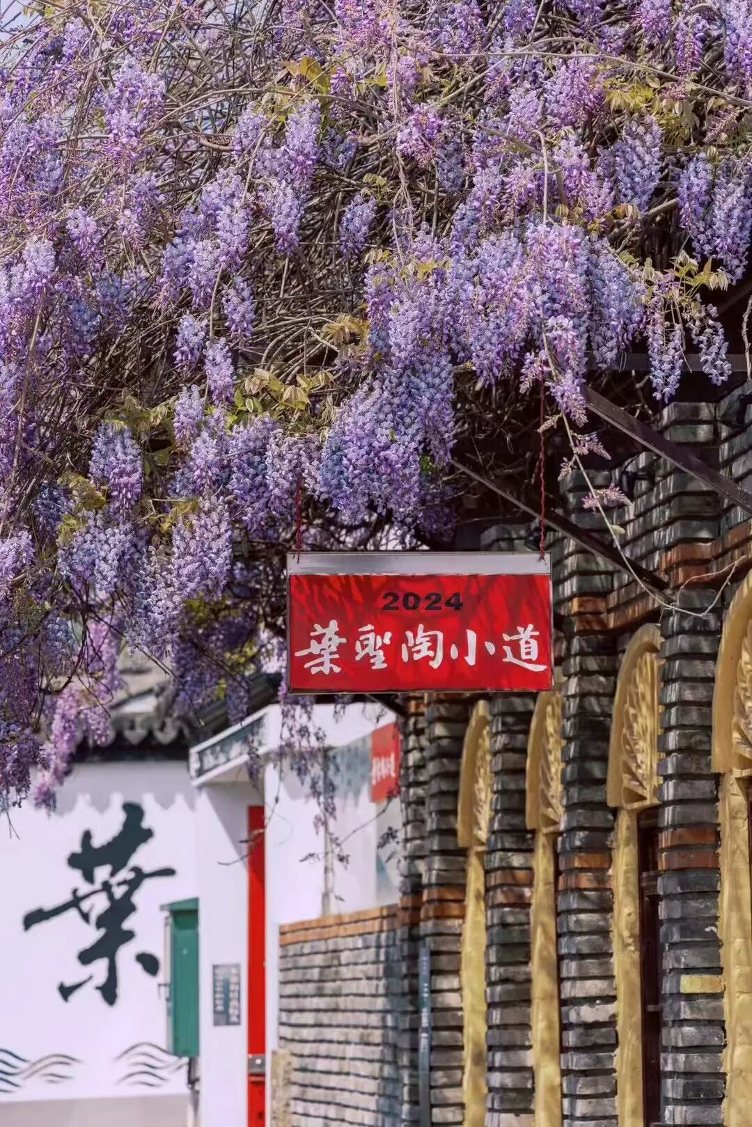 吴中紫藤地图：花下迷路，也愿意