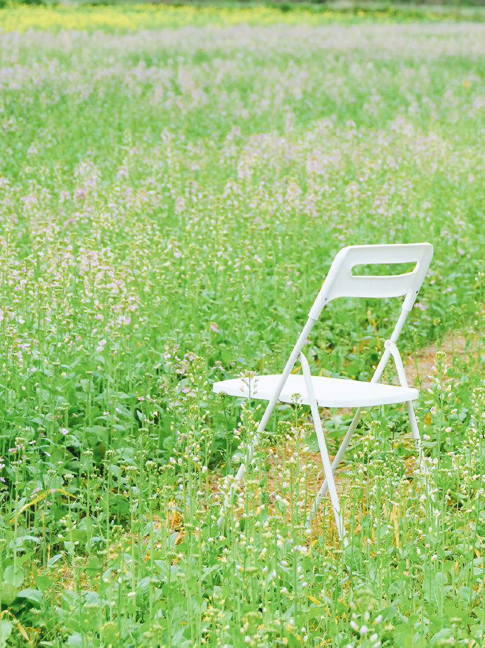 来暖村邂逅彩色油菜花田！
