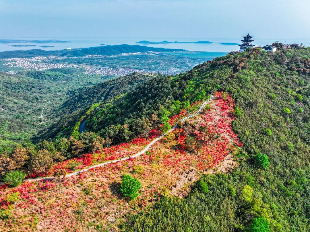 漫山杜鹃开，跟着地图出发啦~