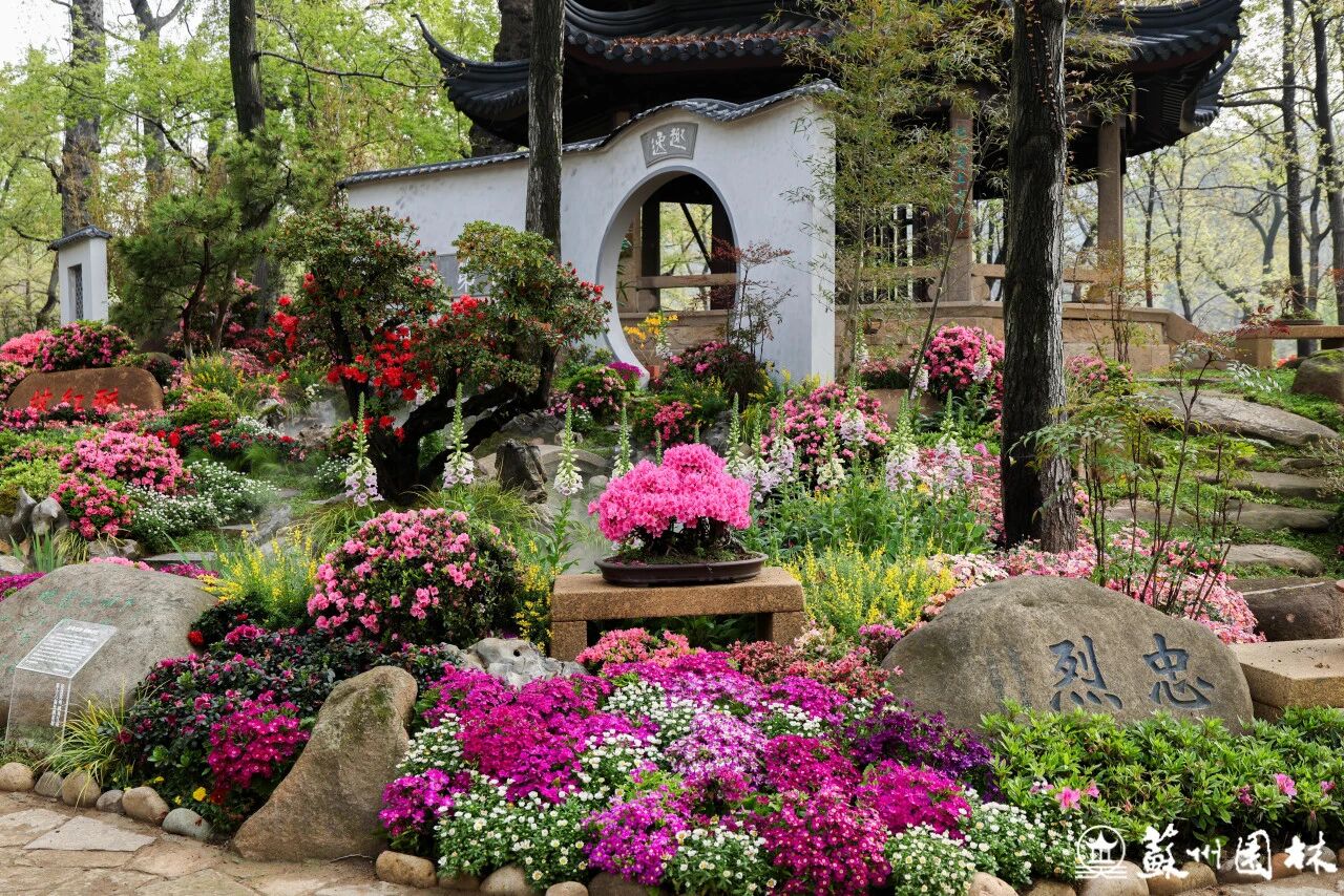 漫山杜鹃开，跟着地图出发啦~