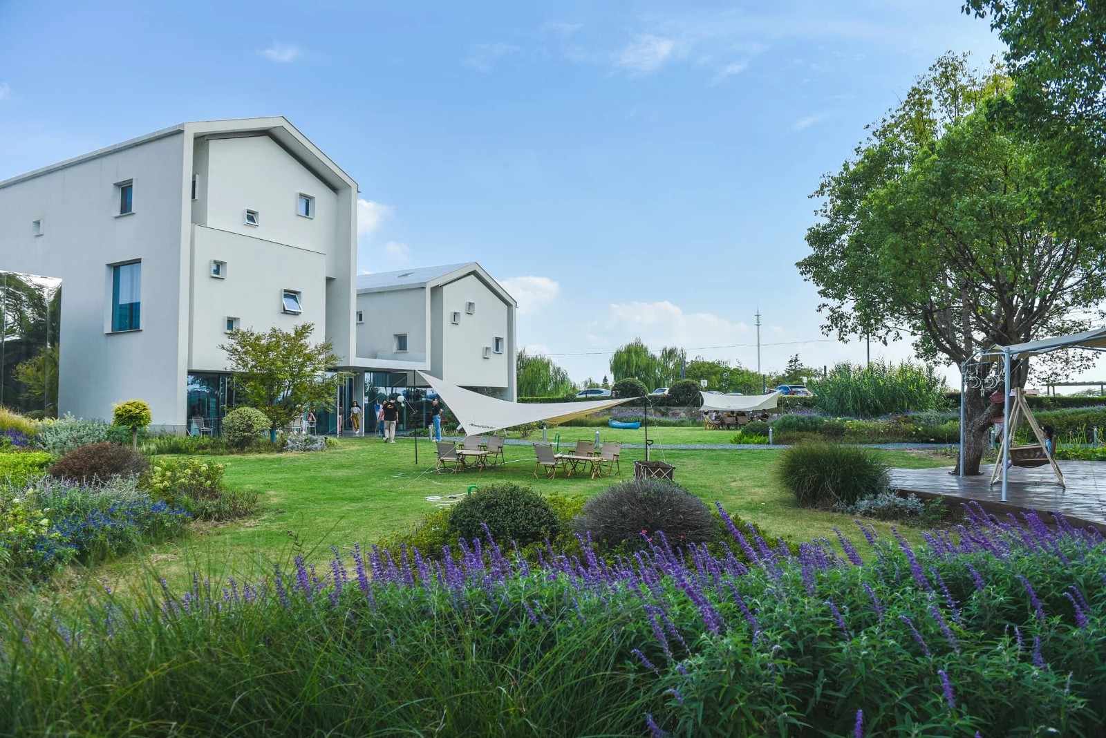 来林渡暖村，撸串、篝火、赏花、住进油画里！