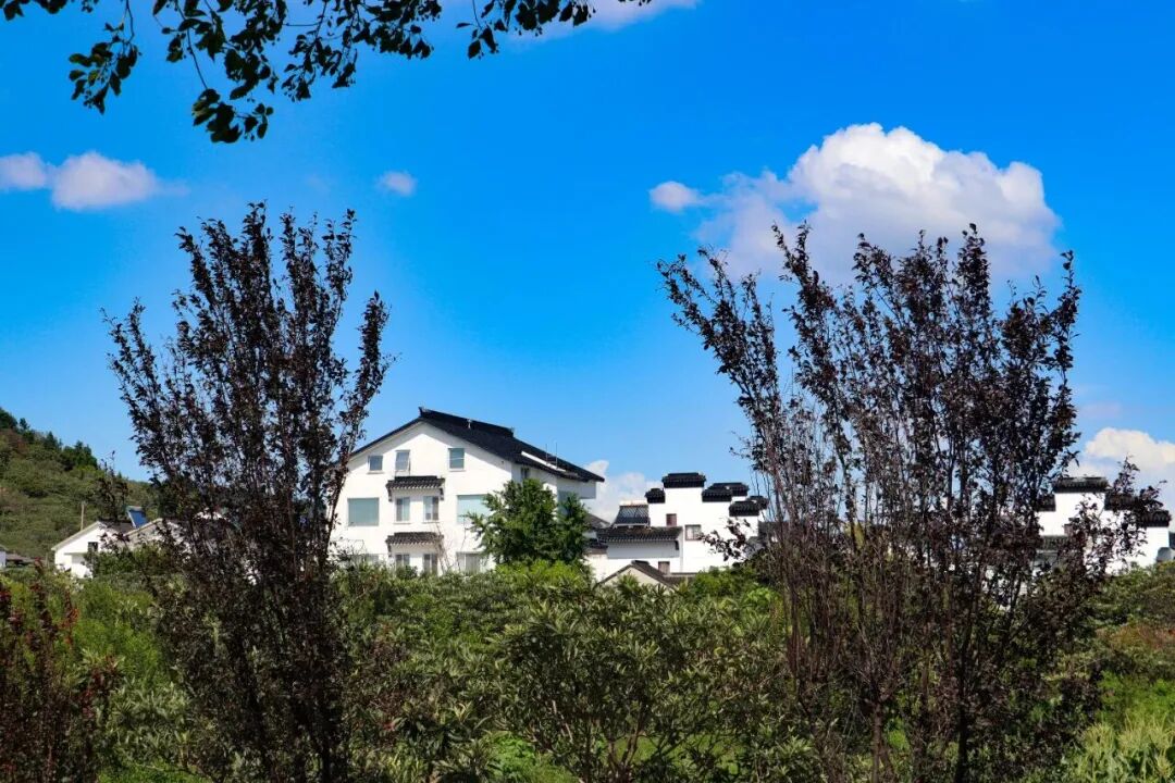 来西山岛追风吧~