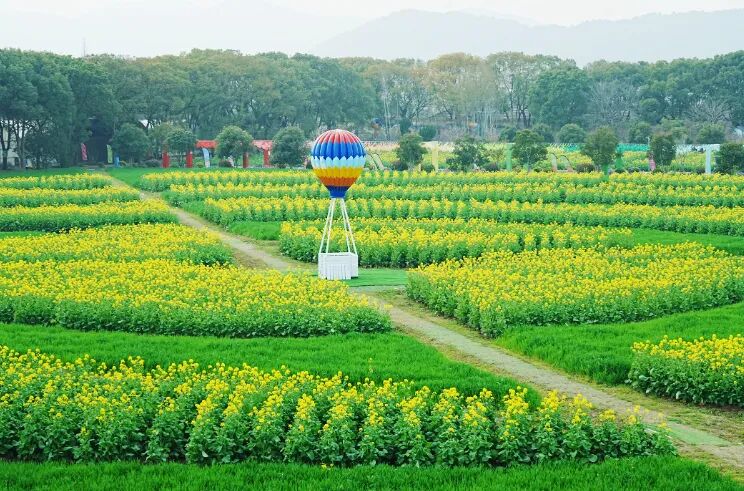 上岛！太湖村咖季，周末霸屏倒计时！