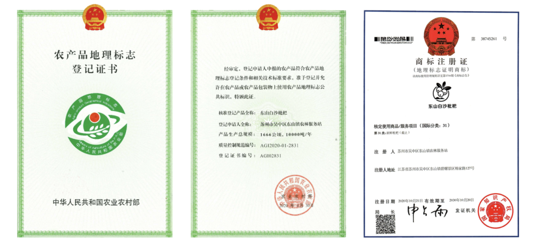 上市时间不对、长相不对、味道不对！
