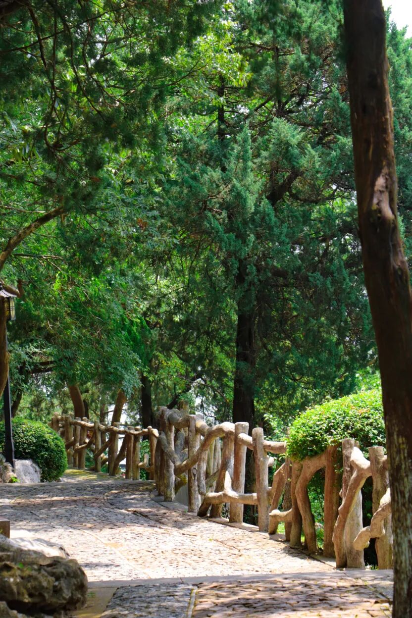 人间五月，解锁西山岛治愈系初夏色彩