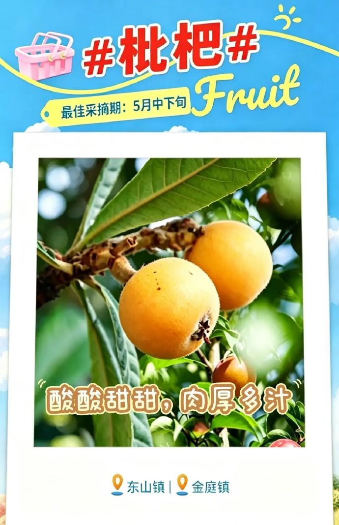 吴中5月采摘地图，出发~