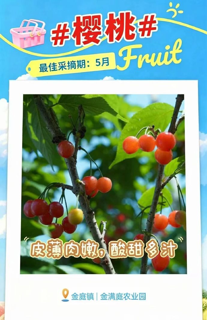 吴中5月采摘地图，出发~
