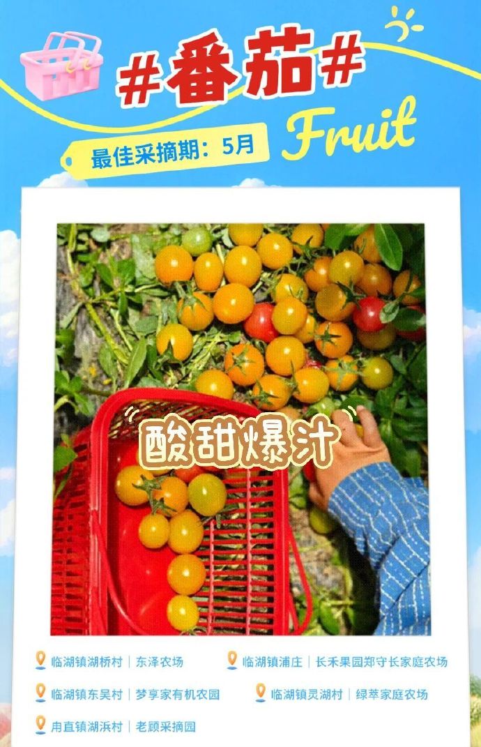 吴中5月采摘地图，出发~
