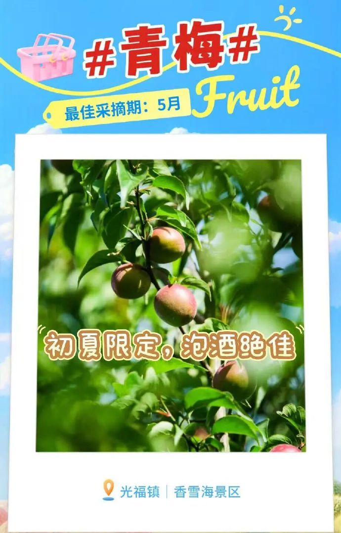 吴中5月采摘地图，出发~