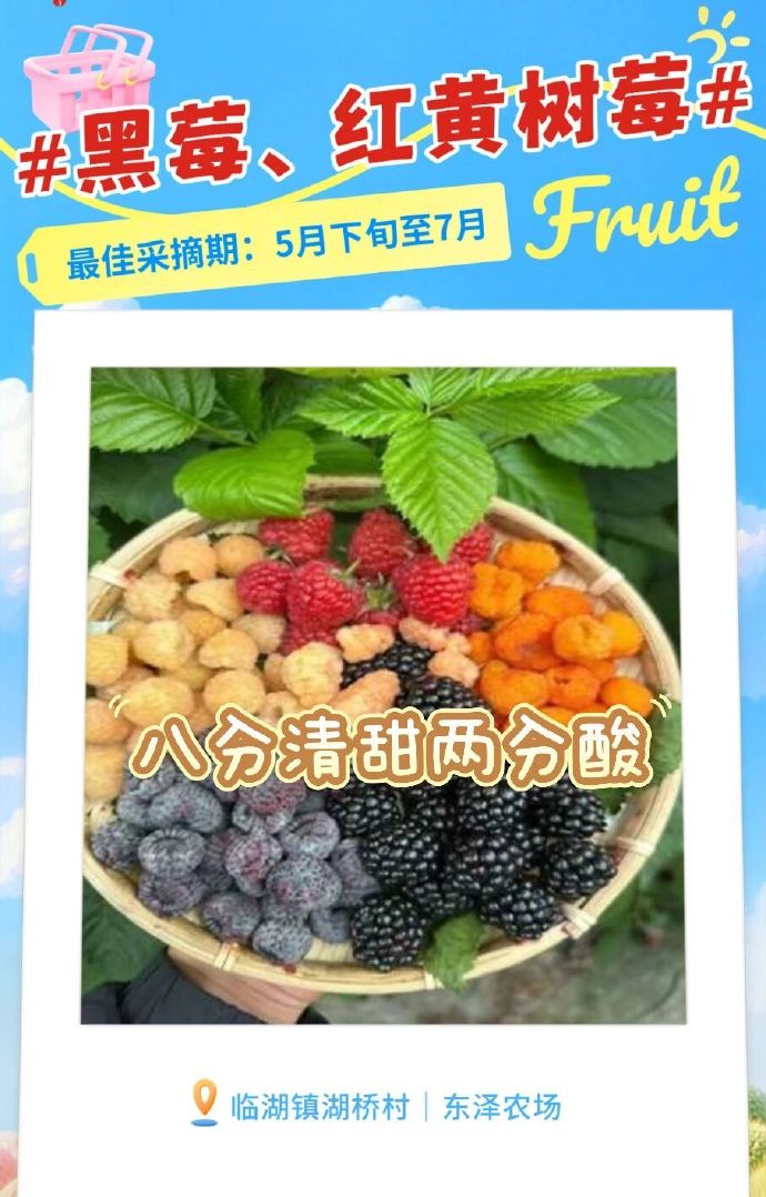 吴中5月采摘地图，出发~