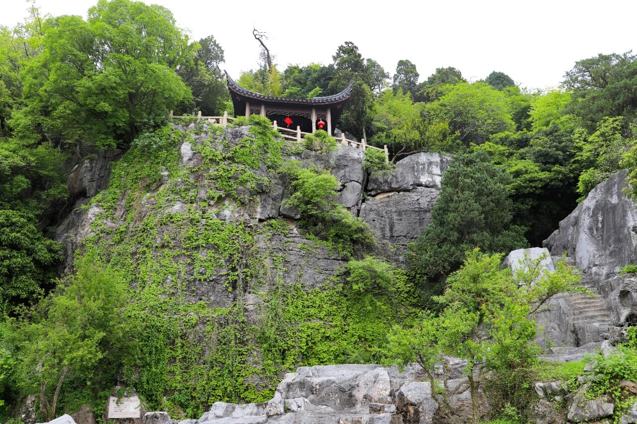 免票、特惠、送门票！初夏吴中这样玩～