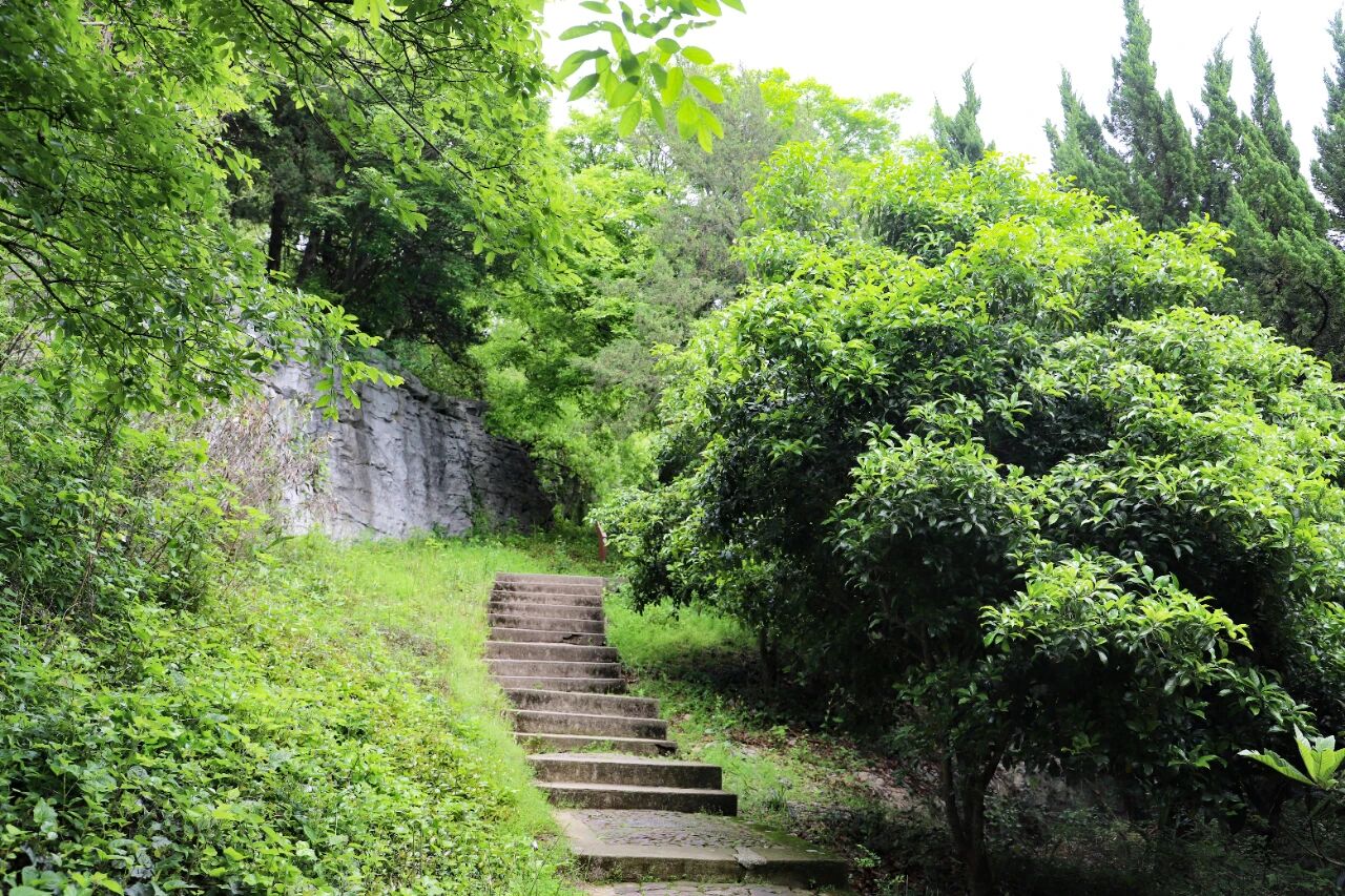 探秘奇洞石趣，解锁地质奇观