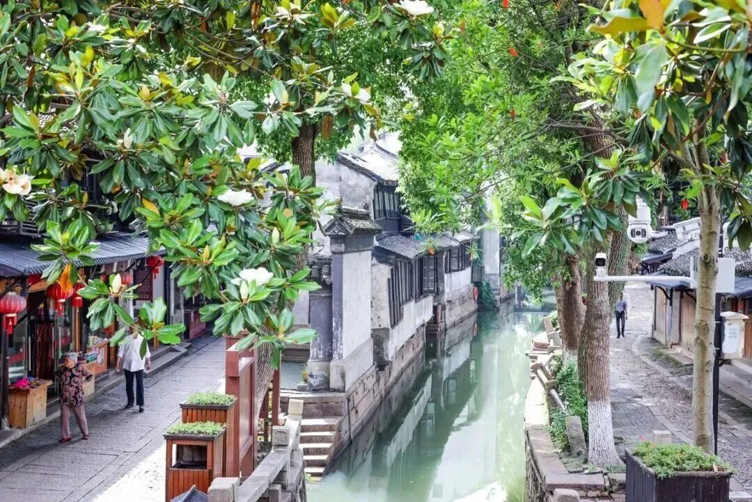 来甪直，感受原生态的水乡生活