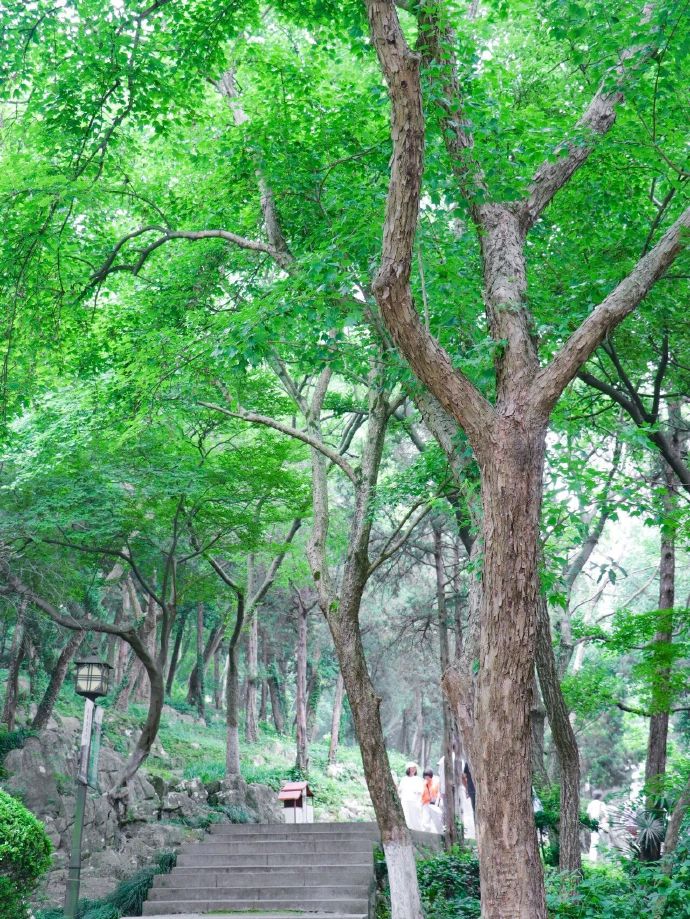 “夏”一站，去石公山撒欢